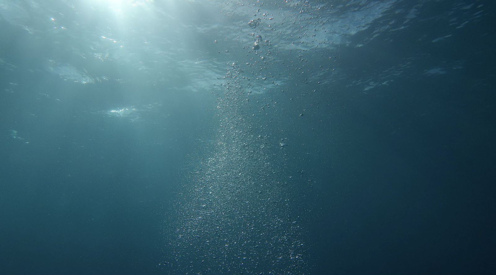 Underwater light and rising bubbles